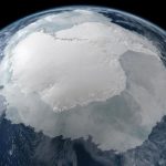 اكتشاف كائنات غيرمعروفة بالقطب الجنوبي