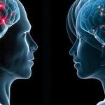 بين دماغ الرجل والمرأة