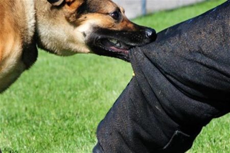 2019_1_15_12_0_59_864