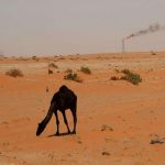 الأمم المتحدة: تغير المناخ في الشرق الأوسط هو الأكثر مأساوية