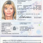 البطاقة الزرقاء للمهاجرين (أصحاب الكفاءات العلمية) في ألمانيا